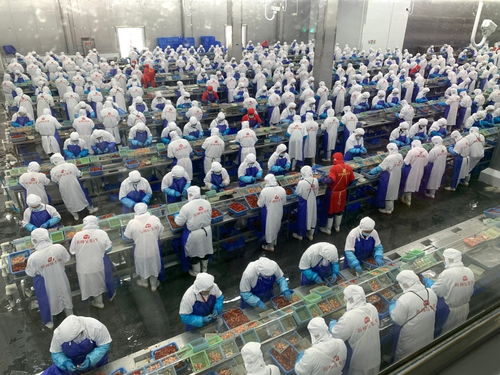 價格大跳水，潛江龍蝦如何應對市場波動——記者一線調研產業鏈各環節的“穩定器”